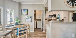 Derby at Steeplechase Gallery 5