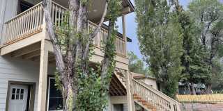 18 Pinegrove - 2 Gallery 1