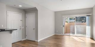 Avery at TownCentre Gallery 131