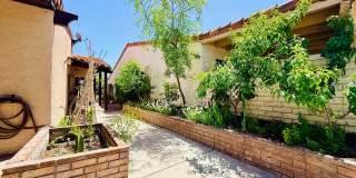 Available 8/1- Beautiful furnished single-story home located in prestigious Spanish Oaks! Gallery 49
