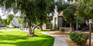 Avana River Ranch Gallery 24