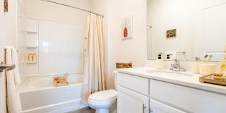 One41 Wellington Gallery 12