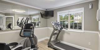 Stevens Walk Gallery 19