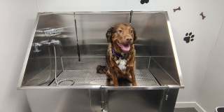 South Port Gallery 31