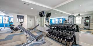 Arrive Los Carneros II Gallery 64