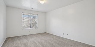 Country Woods Gallery 30