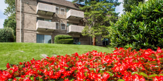 Top of the Hill Apartments Gallery 15