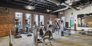 The Melrose Gallery 5