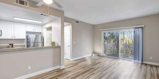 Saratoga Downs at Sheveland Ranch Gallery 19