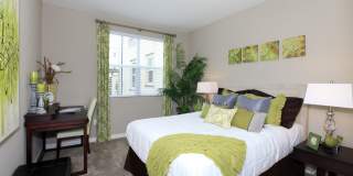 Paseos At Magnolia Luxury Apartment Homes Gallery 32