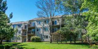 Canyon Park Gallery 33