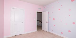 4935 COLLINGTONS BOUNTY Drive Gallery 36