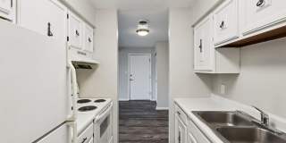 Williamsburg South Gallery 15