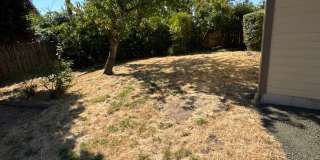 Bright 3 Bedroom 1 Bath in NW Corvallis ~ Small Dogs Welcome! Gallery 21