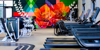 Culdesac Tempe Gallery 23