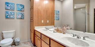 25615 N SAGO Drive Gallery 18