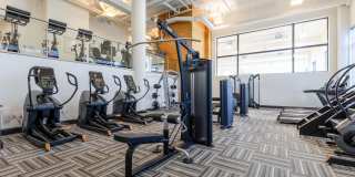 Halstead Square - Lotus & Lofts Gallery 3