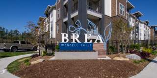 Brea Wendell Falls Gallery 9