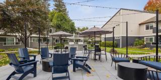 Sofi Berryessa Gallery 8