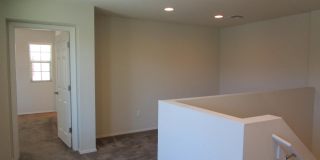 10988 E Passion Flower Lane Gallery 9
