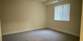 Northgate Gallery 239