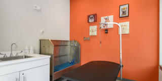 West of Chestnut Gallery 37