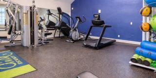 Grand Biscayne Apartments Gallery 8