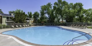 Aspen Ridge Gallery 8