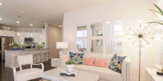 3231 N Loop 1604 W, #3212 Gallery 6