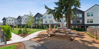 Fir Grove Gallery 25