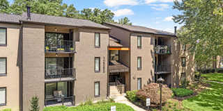 Lerner Springs at Reston Apartment Homes Gallery 3