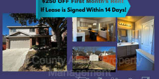 312 Silver Wing 312 Silver Wing Gallery 1