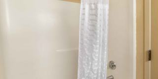 Newport News - Oyster Point Gallery 14