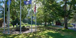 Ivorywood Gallery 26