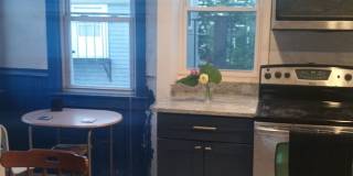 Newly renovated 1-Bd Cambridge - Great Deal Gallery 6