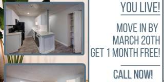 The Reserve at Water Tower Village Gallery 1