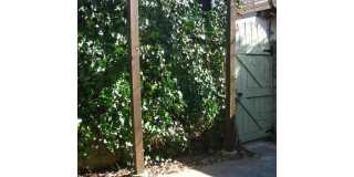 805 N BEECHWOOD STREET Gallery 21