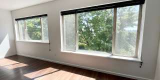Bayview Apartments Gallery 47