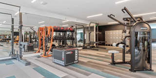 Legacy at Fitz Gallery 16