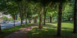 Park Row West Gallery 47