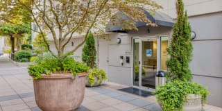 Tera Apartments Gallery 36