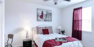 The Cove Apartments Gallery 8