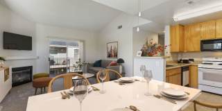 Sycamore Village Gallery 1