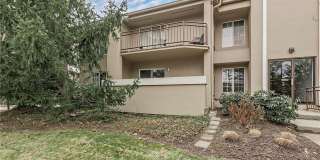 26101 Village Lane Gallery 40