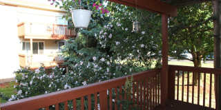 4190 Packard Road Gallery 21