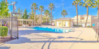 3912 Smokey Fog Avenue Gallery 52