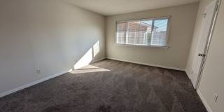 2 Bedroom Walking Distance to NCSU! 2 Bedroom Walking Distance to NCSU! Gallery 8