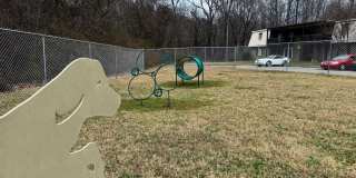 Spring Lake Cove Gallery 31