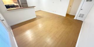 Penthouse Gallery 54