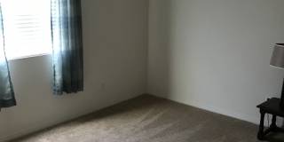 Private large 4 bed NextGen, with double living rooms, kitchens and laundries. Gallery 33